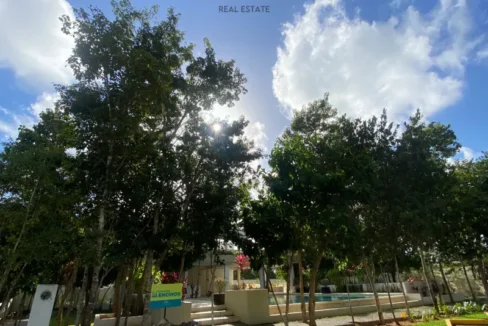 photo-output(1)